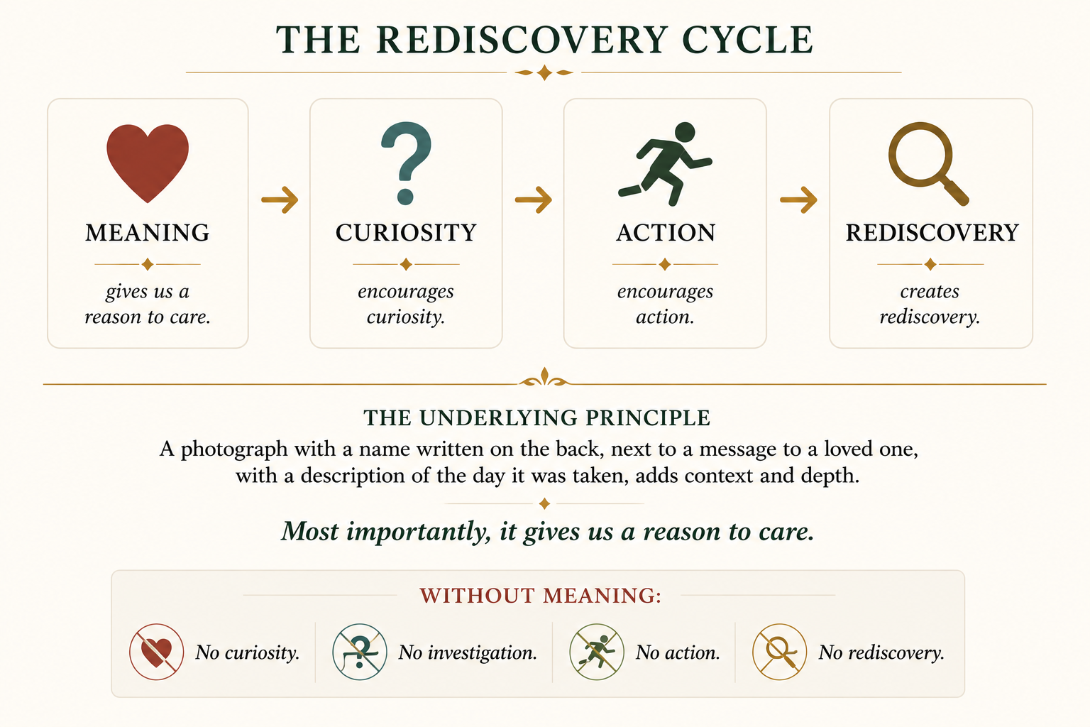Meaning leads to curiosity, action and rediscovery