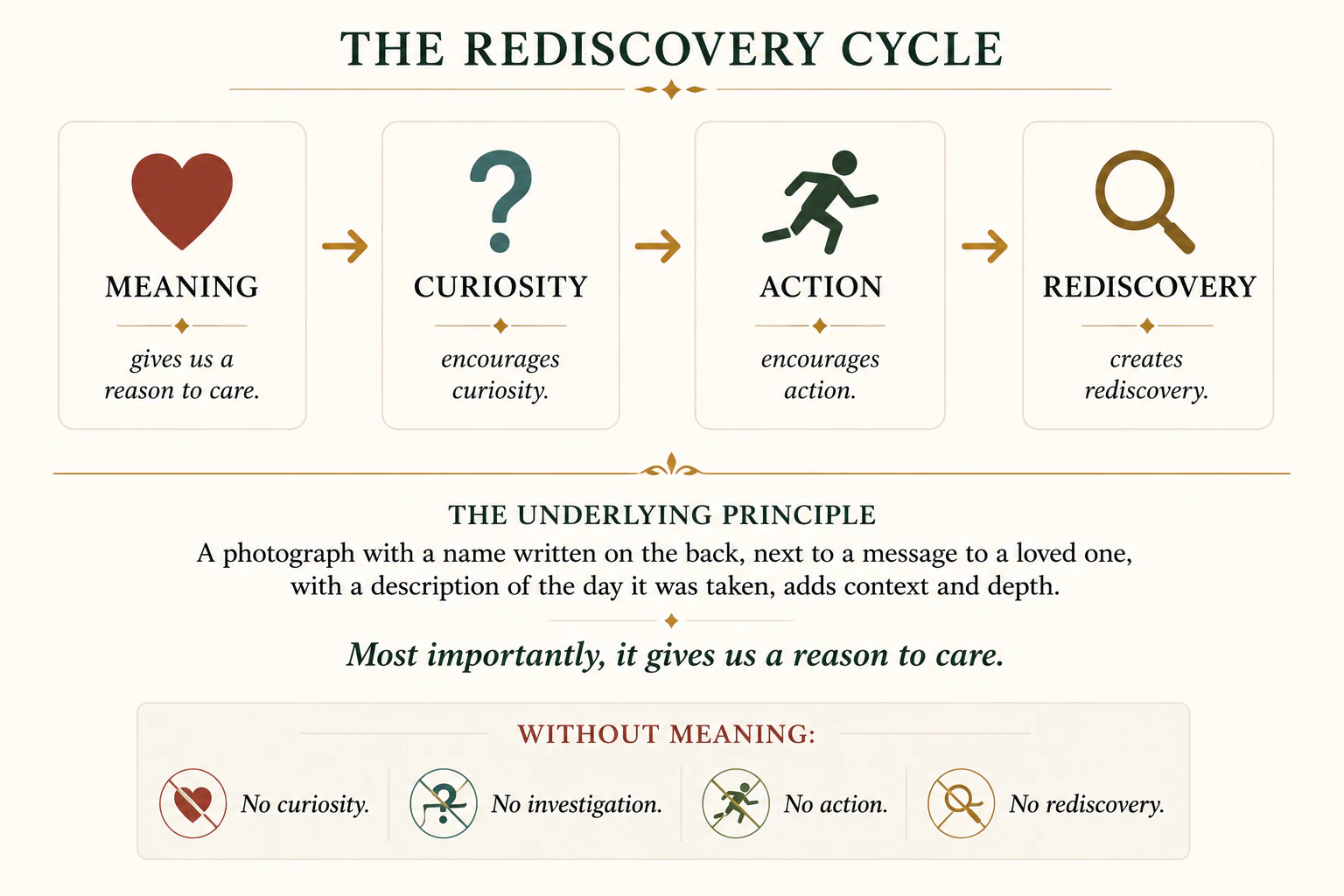 Meaning leads to curiosity, action and rediscovery